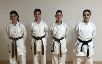 Nuevos Cinturones Negros